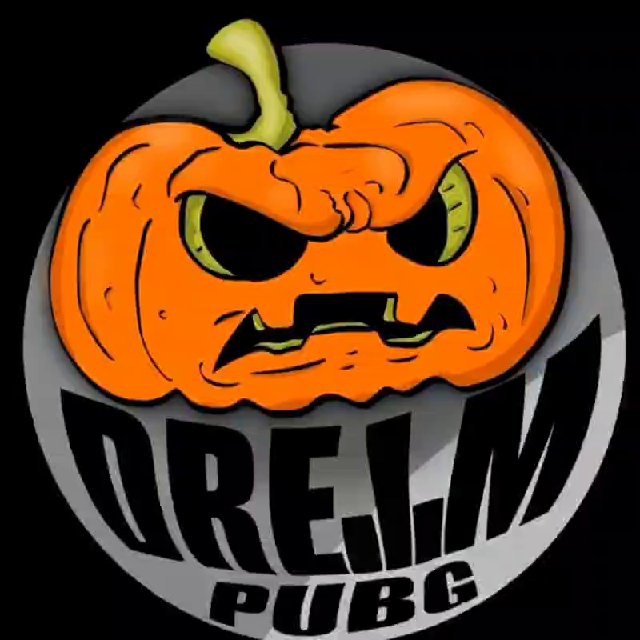 DreamPubg?