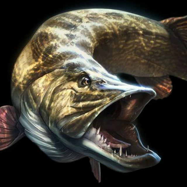 Рыбалка с капитаном