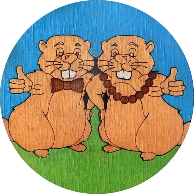 Экипаж Бобры