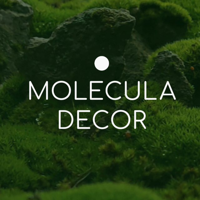 MOLECULA DECOR