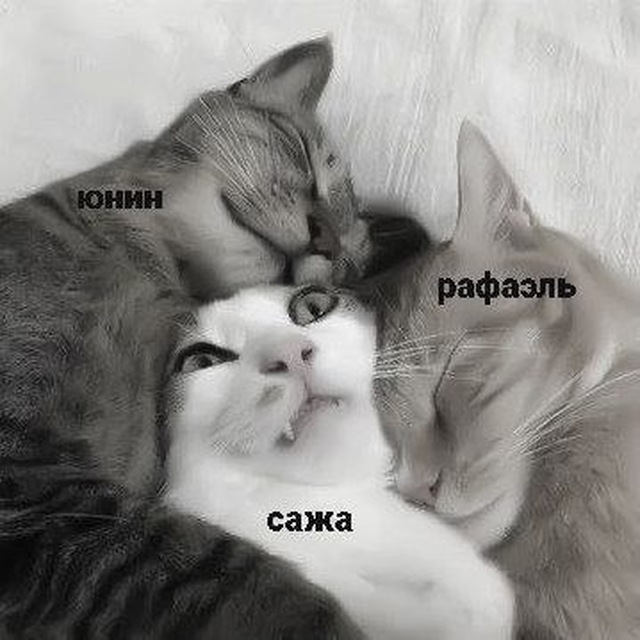 тмстс.