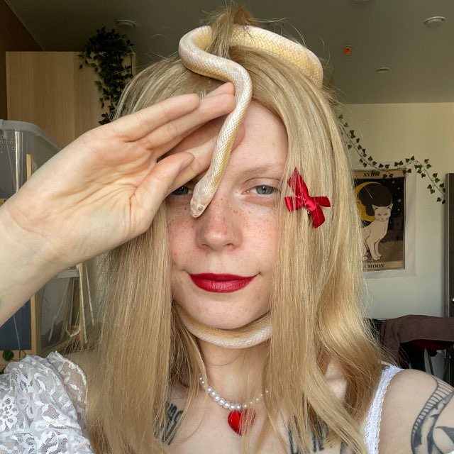 Василёк говорит ?