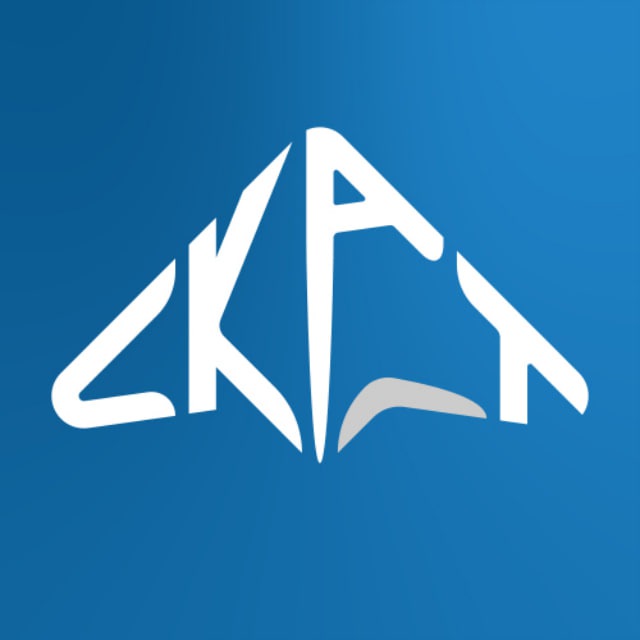 СКАТ — официальный канал
