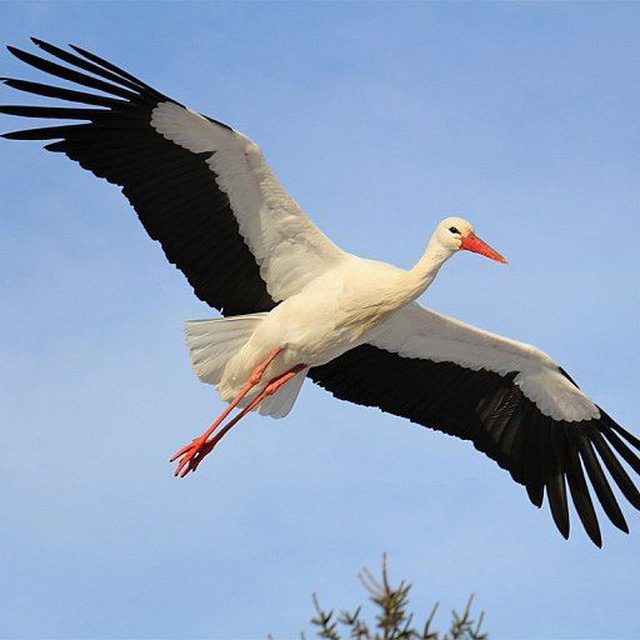 НОВОПЕТРИКОВКА