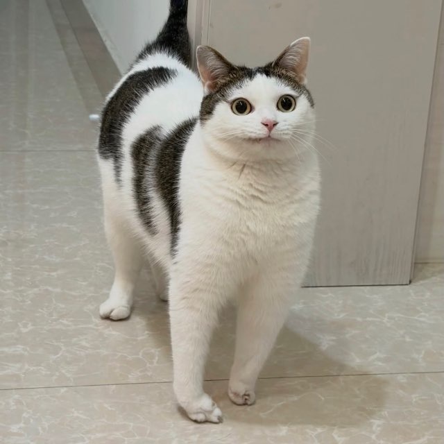 Brickspacer