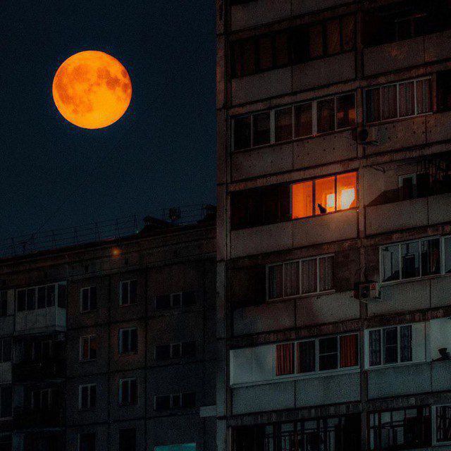 Западает в душу