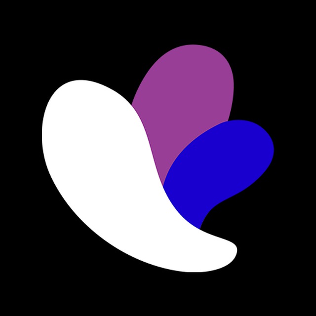 Incogniton Browser