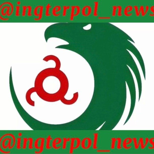 ingterpol_news