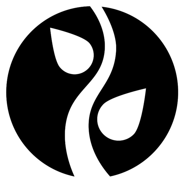 Rajdian — [ӕ]