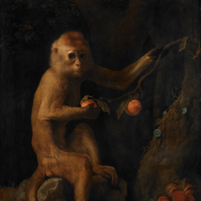 ВОЙТИ В АЙТИ ?