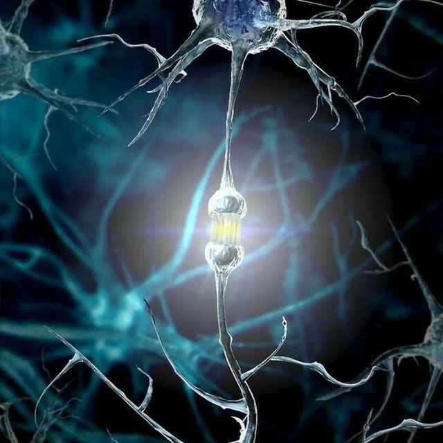 Спросите у Ананьева