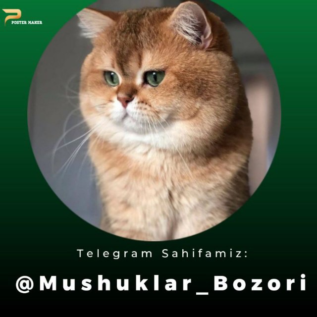 Mushuk Bozor