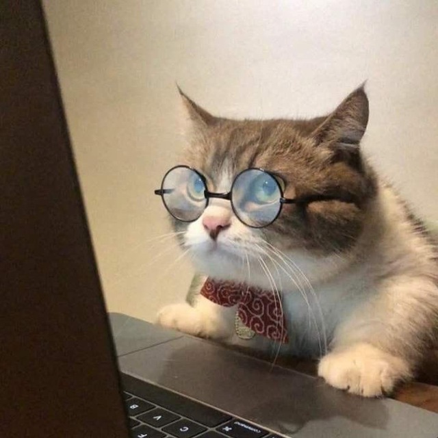 интересновое