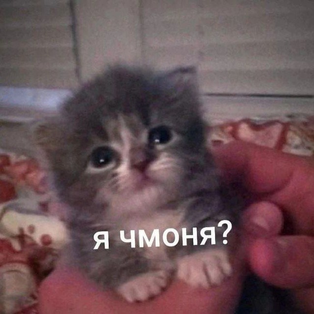 Надеюсь, Я умру от спида/рест