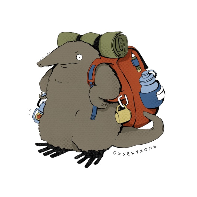 Моими глазами