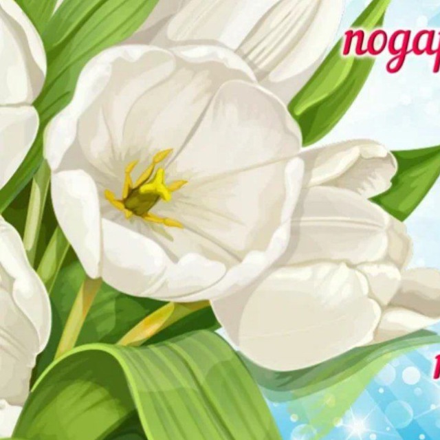 Удивительный Марийский край??