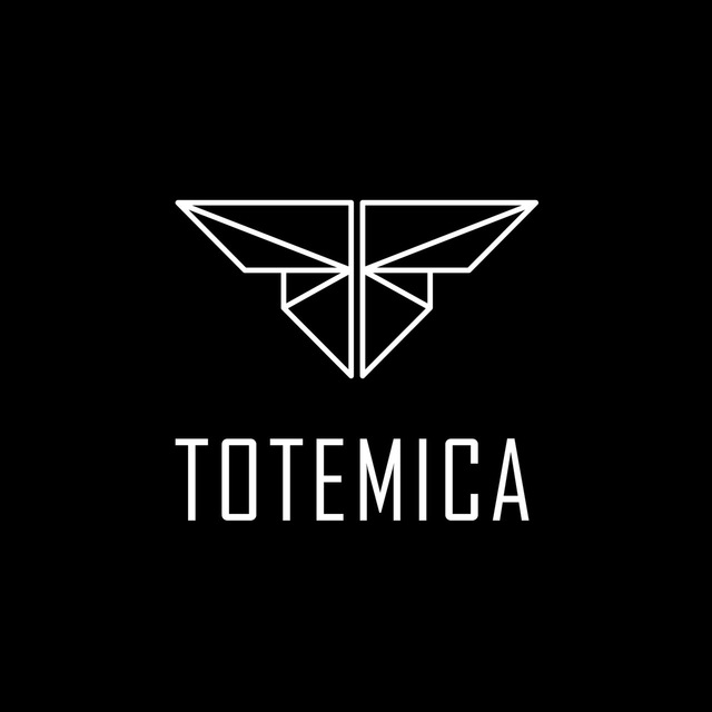 TOTEMICA: тотемный чат