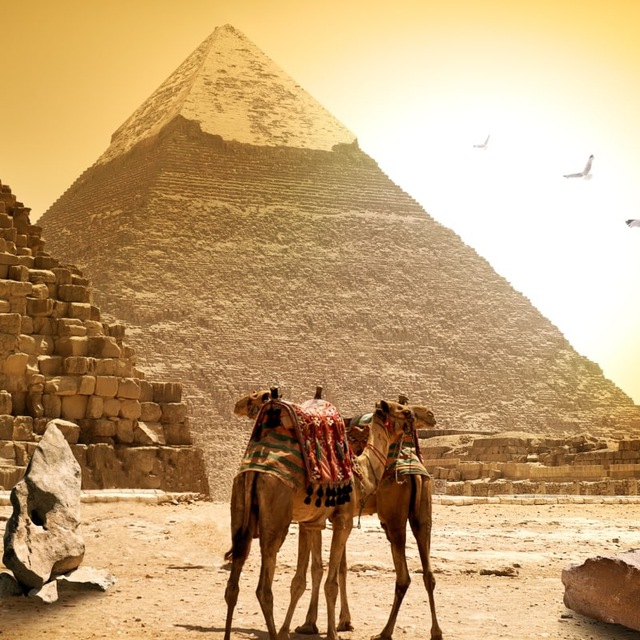 ?? Египет • Информация