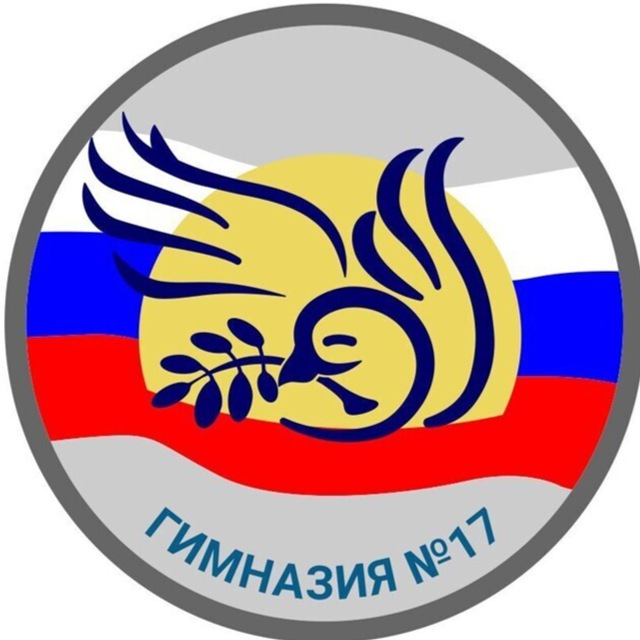 МБОУ «Гимназия 17»