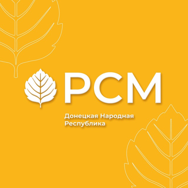 РСМ ДНР