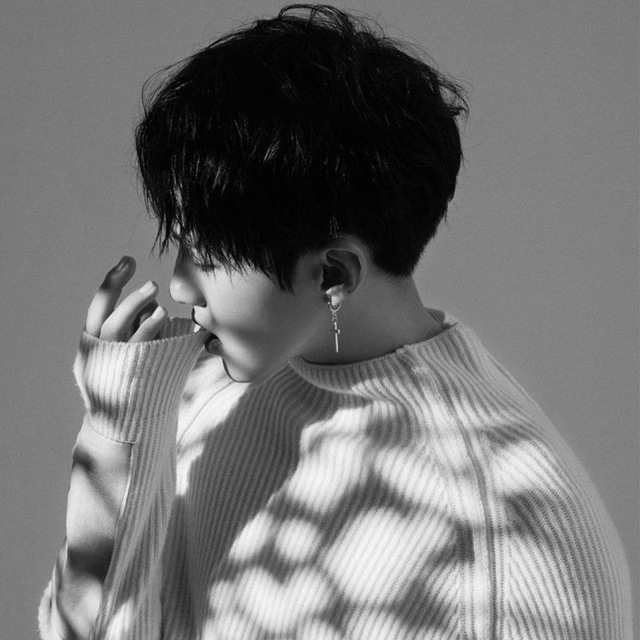 HOSHI ? SEVENTEEN