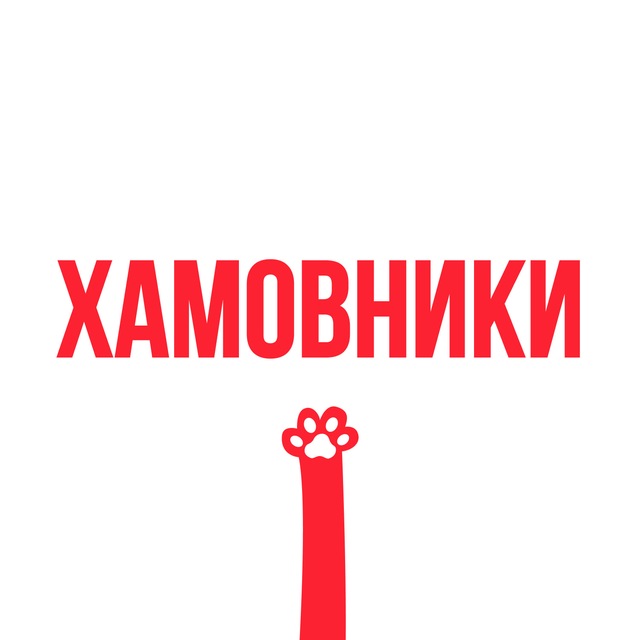 Хамовники Daily
