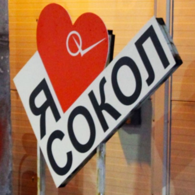 Типичный Сокол