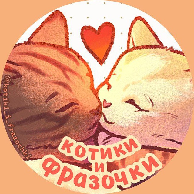 котики и фразочки?