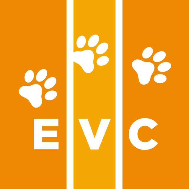 Госпиталь EVC