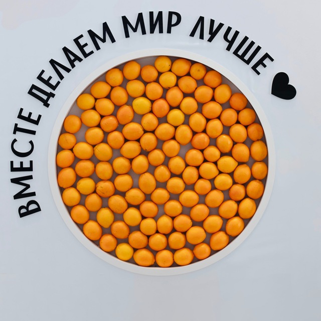 ИССАМ | ОФИЦИАЛЬНАЯ ГРУППА