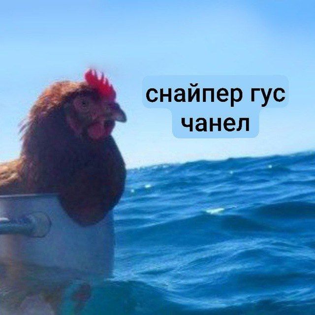 Снайпер Гусь ?