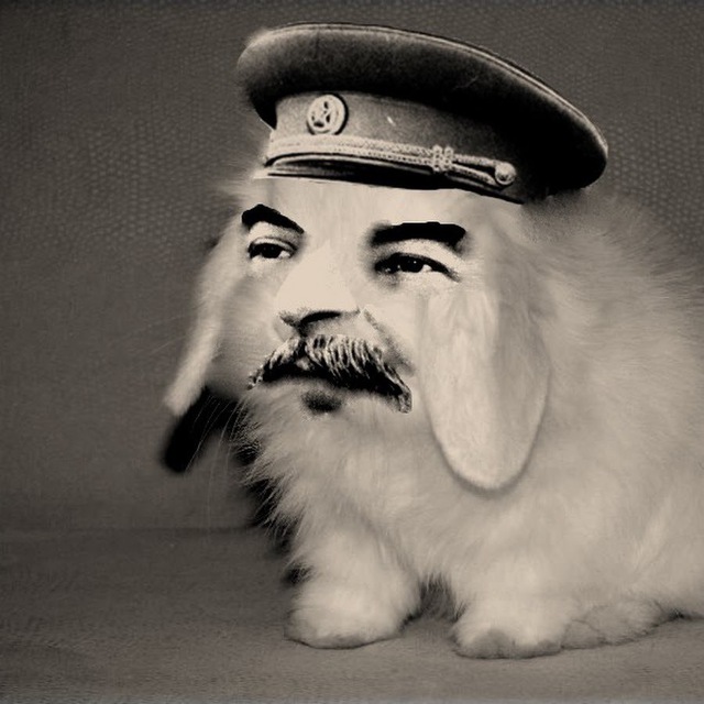 ? крутышка ?