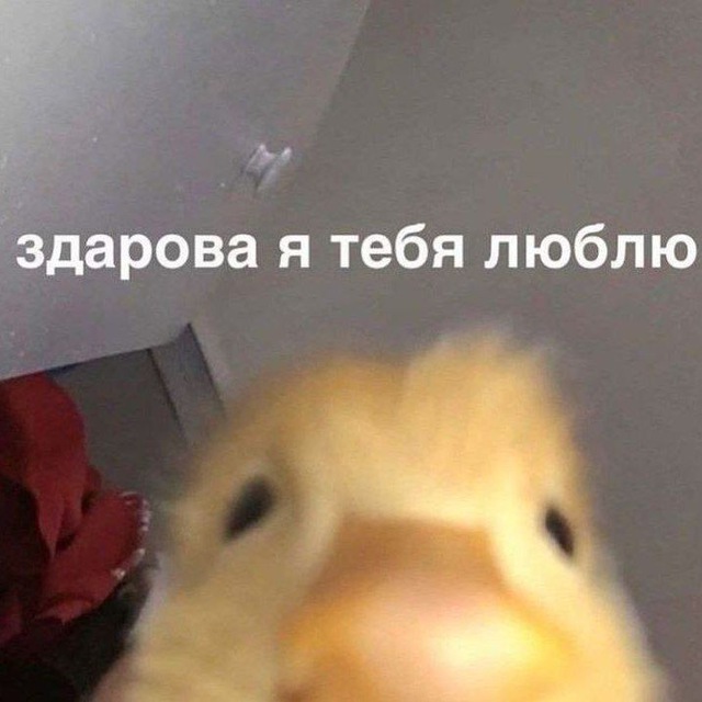 ?чудики??️