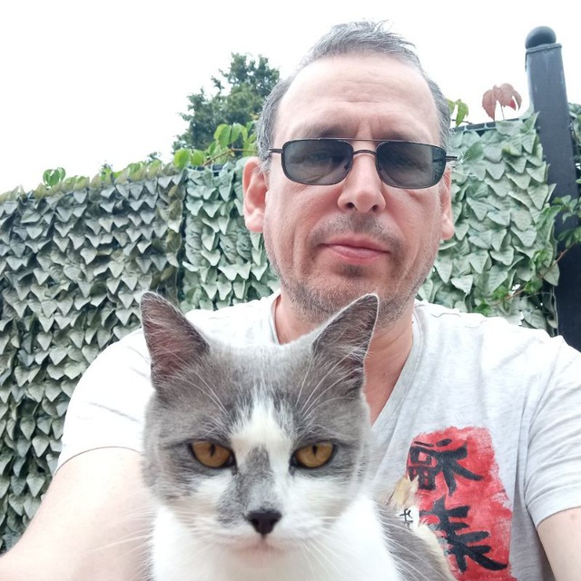 KoreaMeow