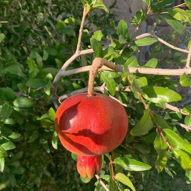 Энергетические стратегии