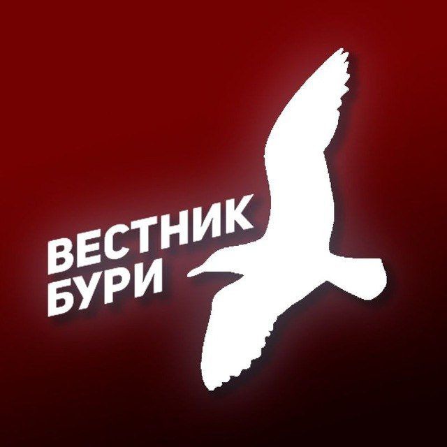 Вестник Бури