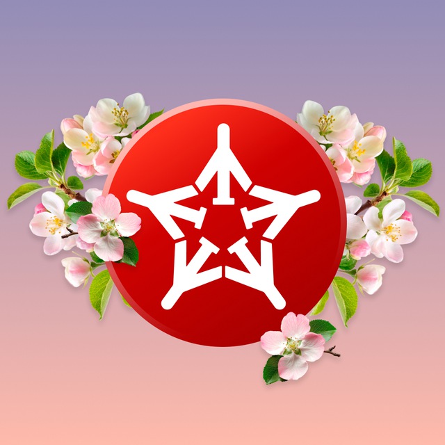 Telegram-канал "Аэроэкспресс" — @aeroexpress — TGStat