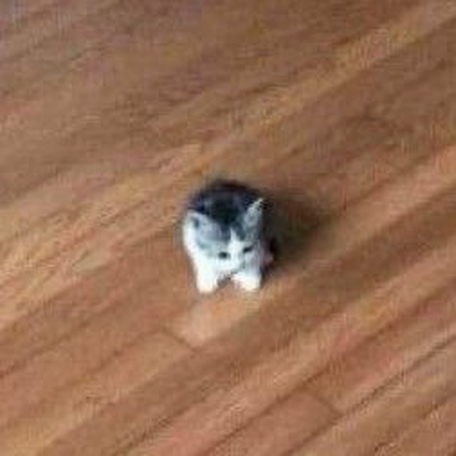 більше не контенчу (не точно)