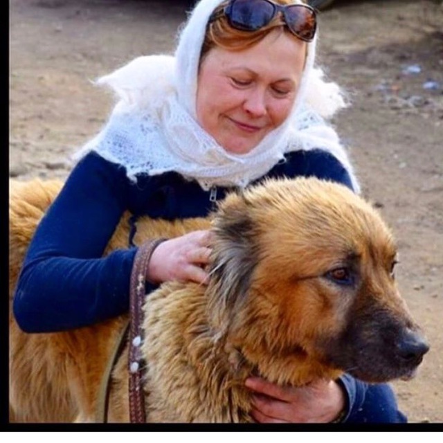 Приют «Ванечка»