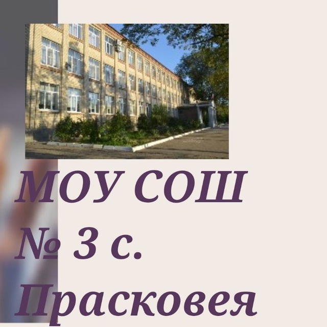 МОУ СОШ № 3 с. Прасковея
