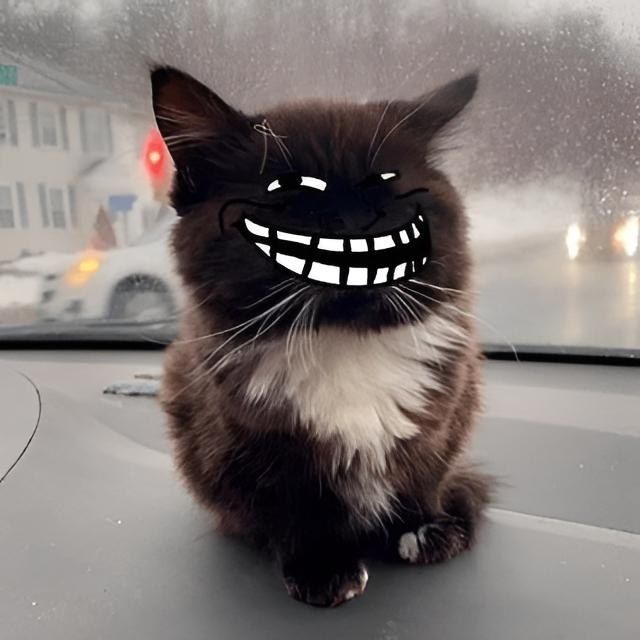 Мемный Мем