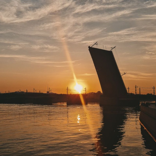 Neva Bridges Runner