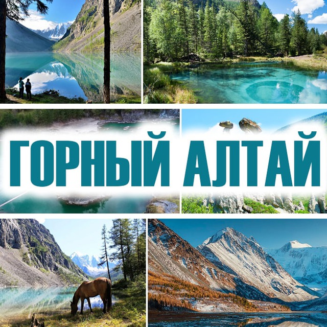 ?ГОРНЫЙ АЛТАЙ ЧАТ