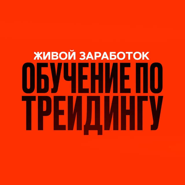 Комбо 20.08 hamster