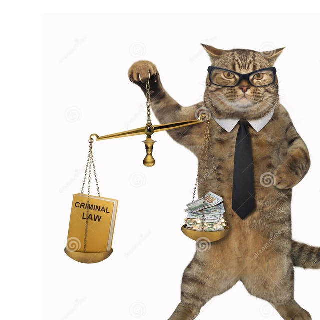 А судьи кот