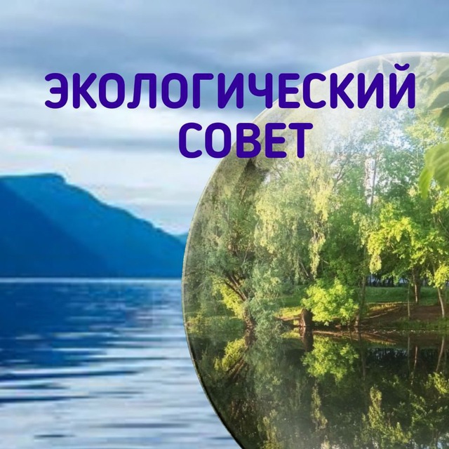 ? ЭКОЛОГИЧЕСКИЙ СОВЕТ