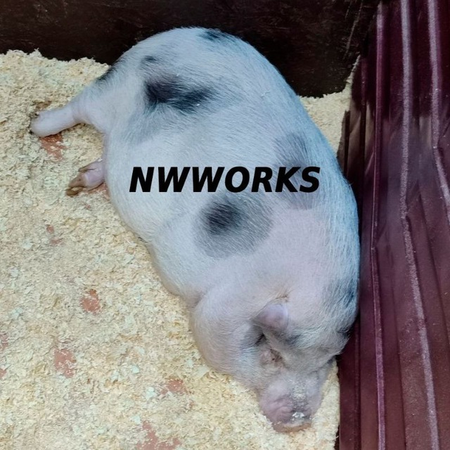 NWWORKS