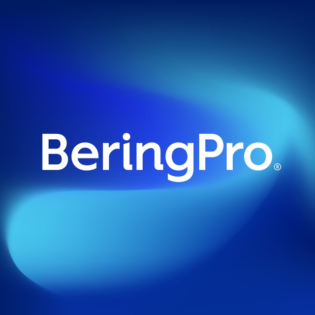 BeringPro | ранее BearingPoint в России