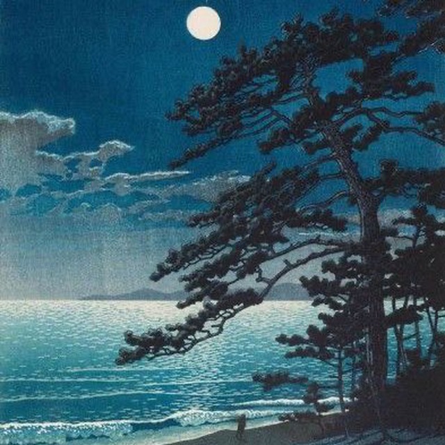 на берегу тихого моря