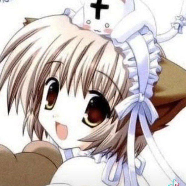 закрыта по причине аккаунта V1V404